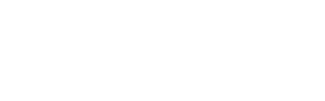 Noa Agency Logo